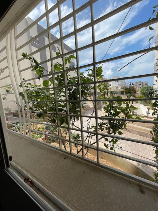 Casa Charm Falaise מונסטיר מראה חיצוני תמונה