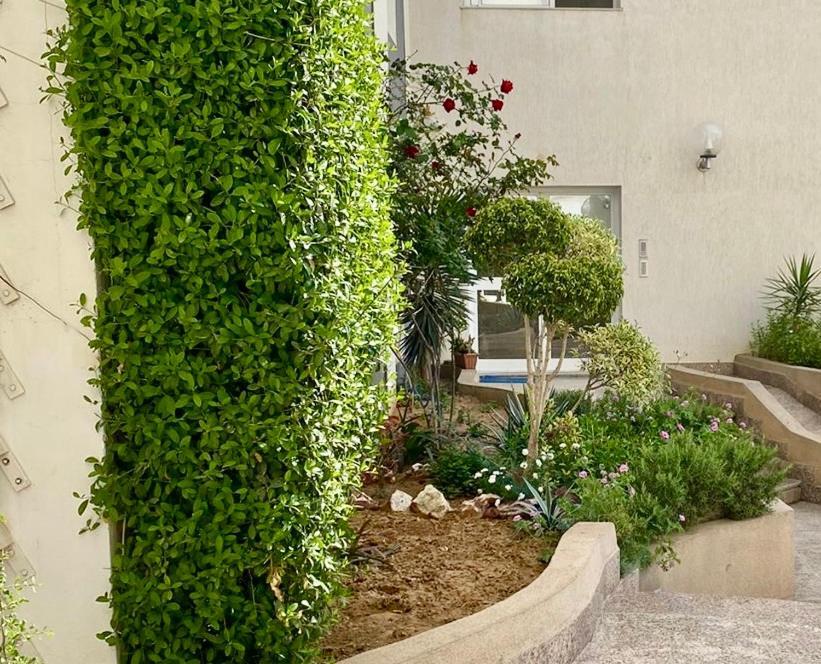 Casa Charm Falaise מונסטיר מראה חיצוני תמונה