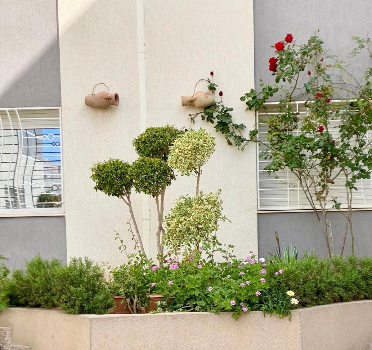 Casa Charm Falaise מונסטיר מראה חיצוני תמונה